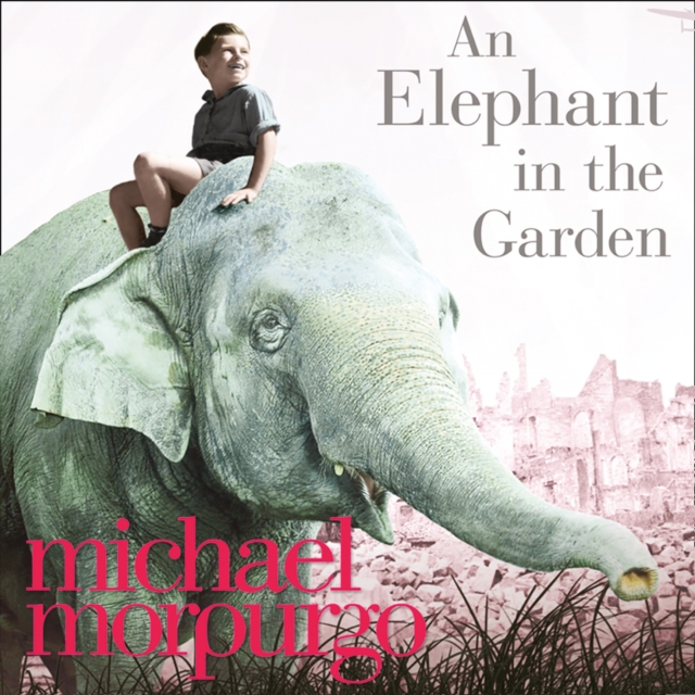 Elephant in the Garden