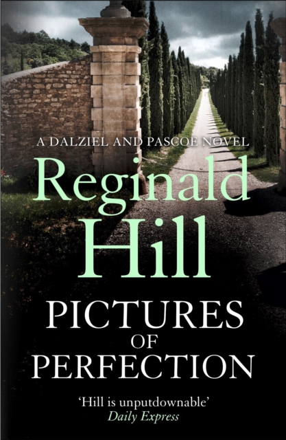 Pictures of Perfection (Dalziel & Pascoe, Book 13)