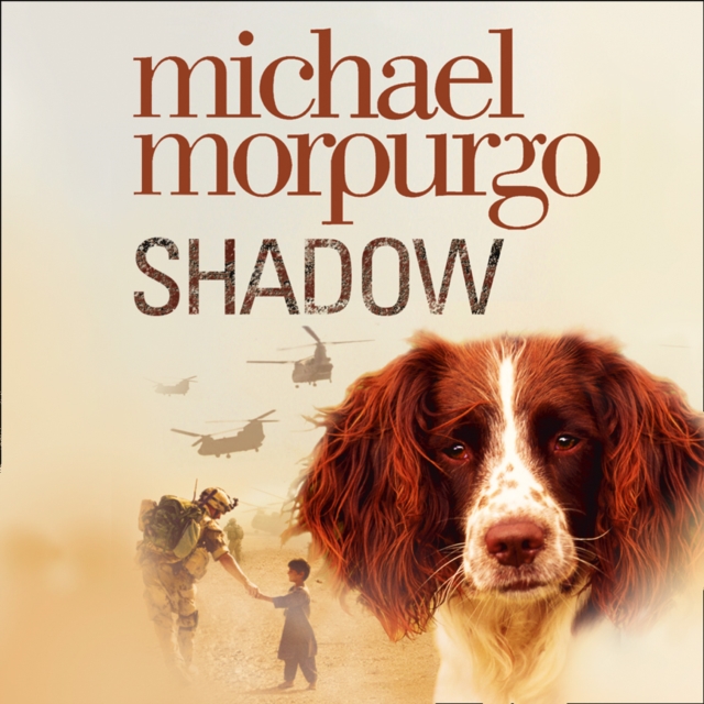 SHADOW UNAB AUD ED EA