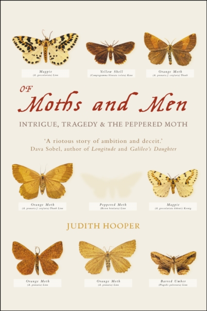 Of Moths and Men
