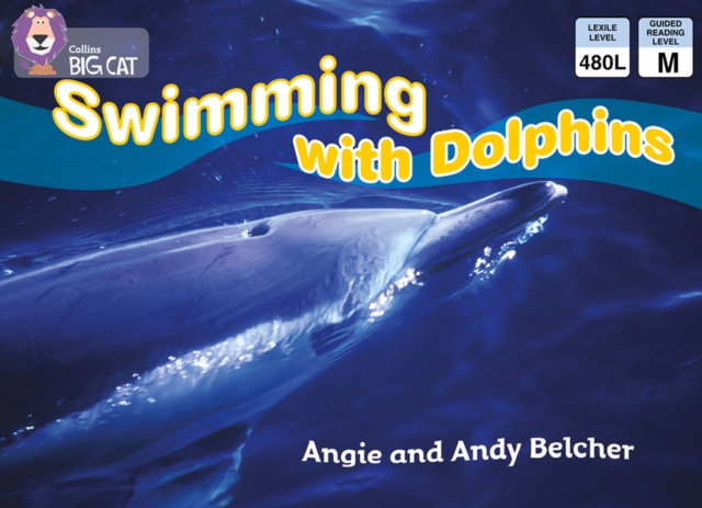 Swimming with Dolphins