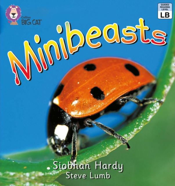 Minibeasts