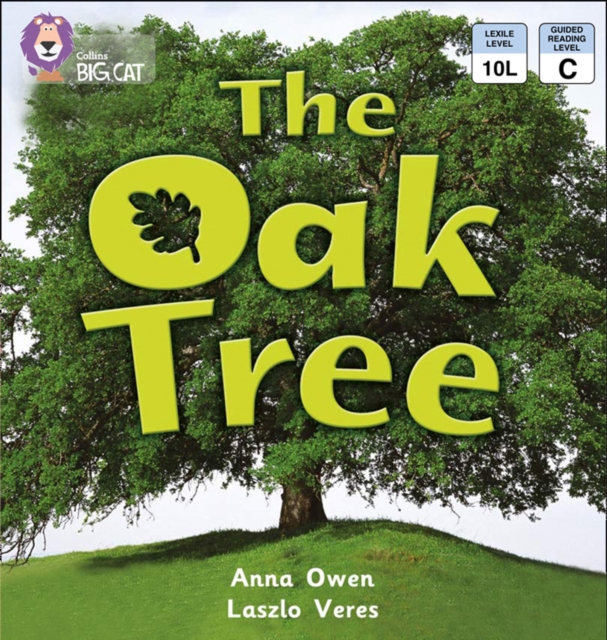 Oak Tree