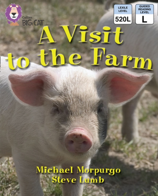 Visit to the Farm