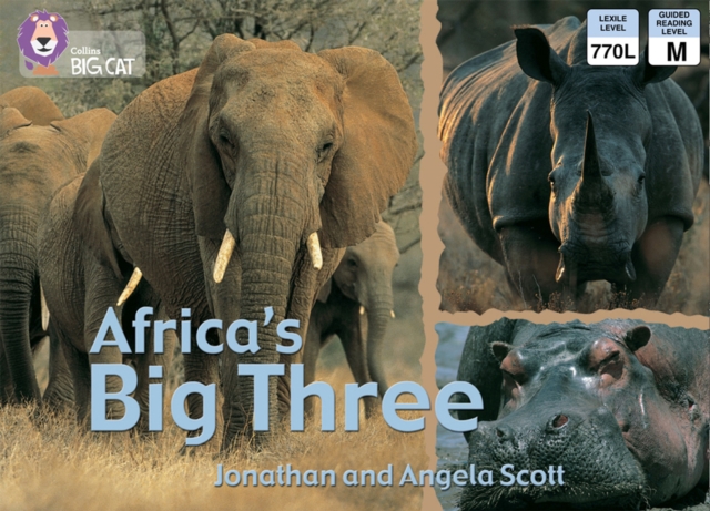 Africa's Big Three