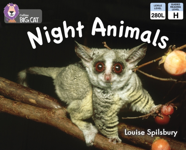 Night Animals