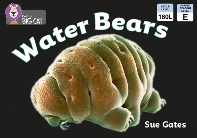 Water Bears