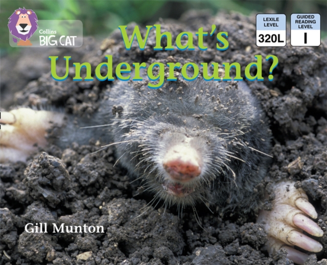 What's Underground