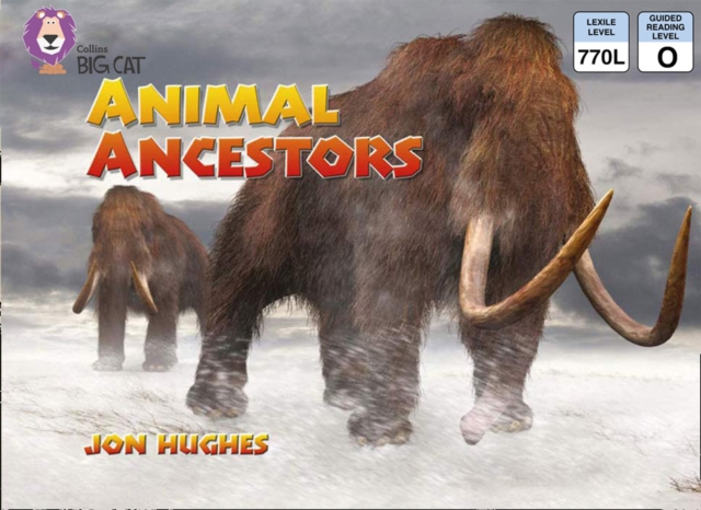 Animal Ancestors