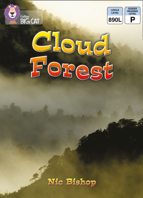 Cloud Forest