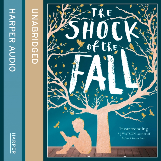 Shock of the Fall
