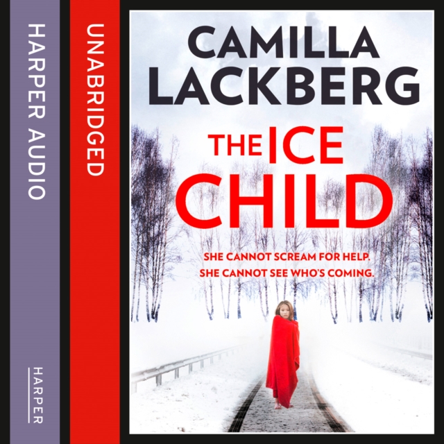 Ice Child (Patrik Hedstrom and Erica Falck, Book 9)