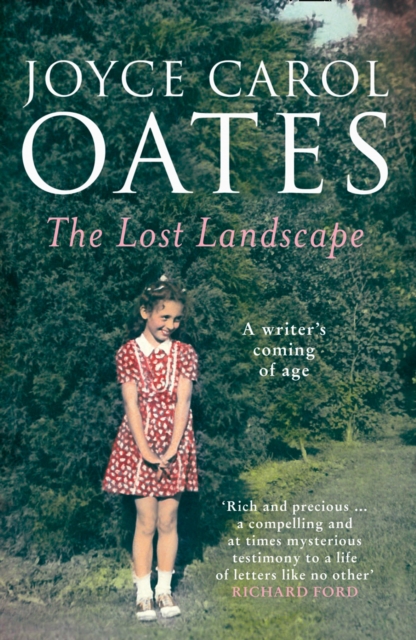 Lost Landscape