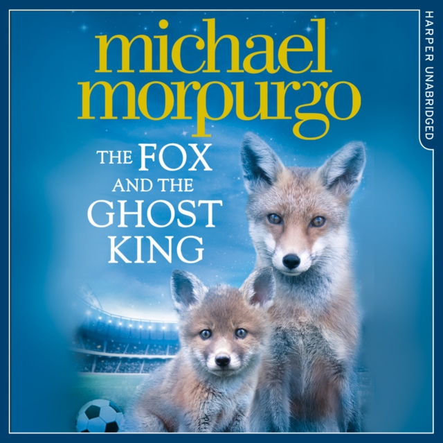 Fox and the Ghost King