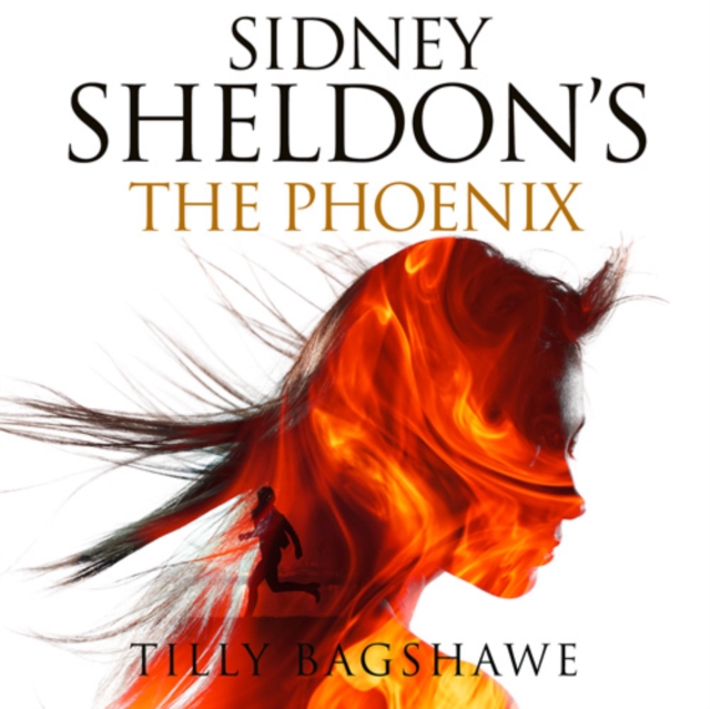 Sidney Sheldon Untitled Book 2