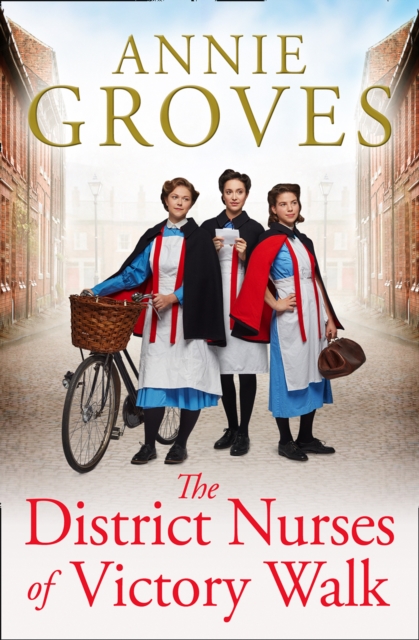 District Nurses of Victory Walk (The District Nurse, Book 1)