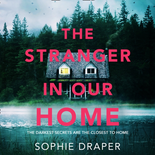Stranger in Our Home