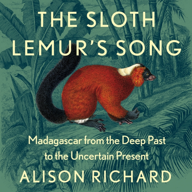 SLOTH LEMURS SONG EA