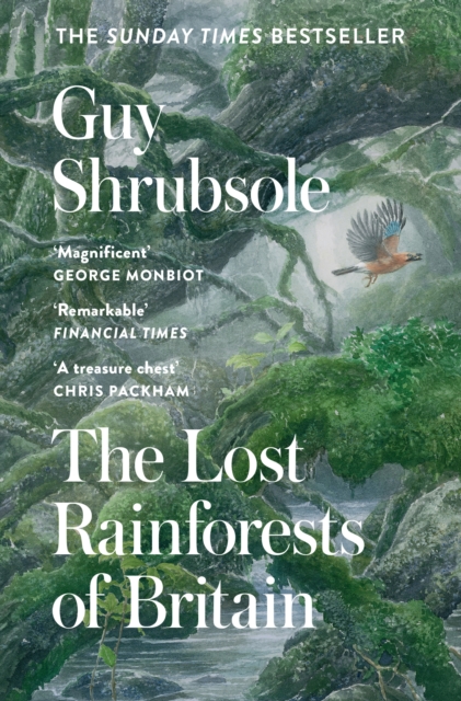 Lost Rainforests of Britain