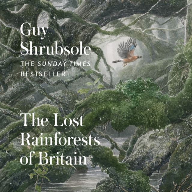 Lost Rainforests of Britain