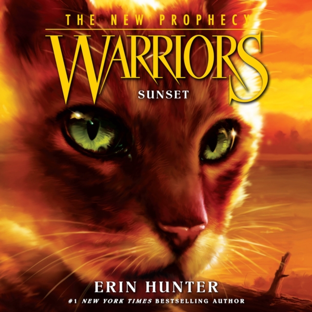 SUNSET_WARRIORS NEW PROPHE6 EA
