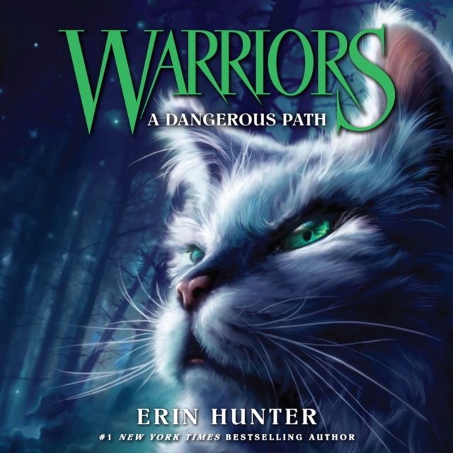 DANGEROUS PATH_WARRIORS5 EA