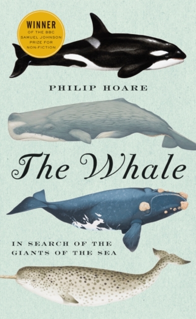 Whale