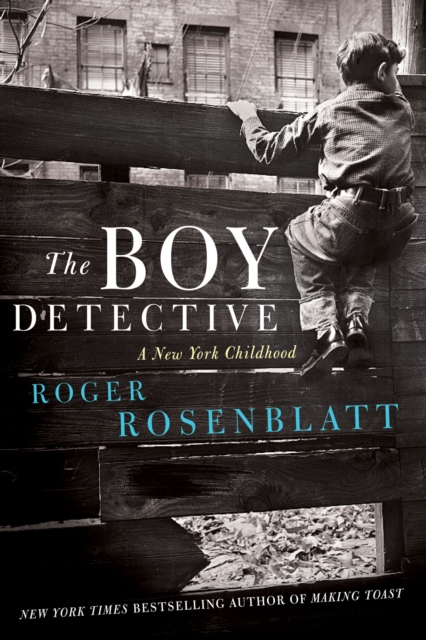 Boy Detective