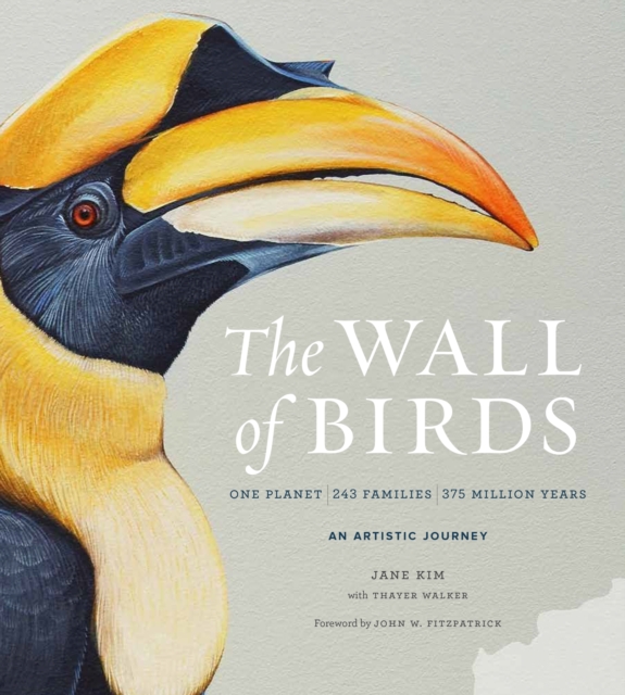 Wall of Birds