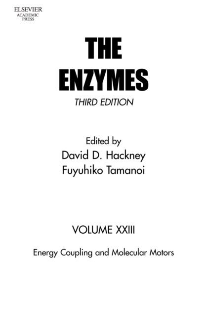 Energy Coupling and Molecular Motors