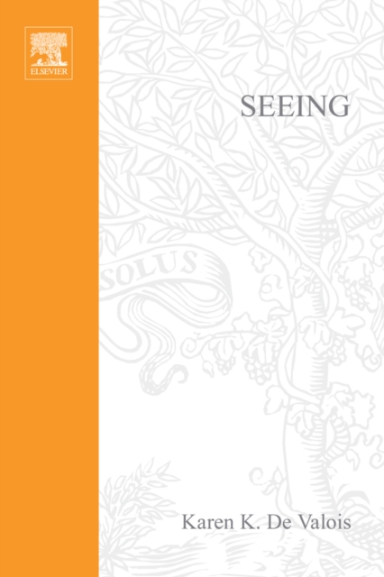 Seeing