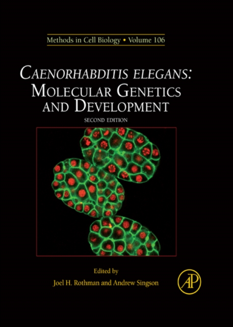 Caenorhabditis Elegans
