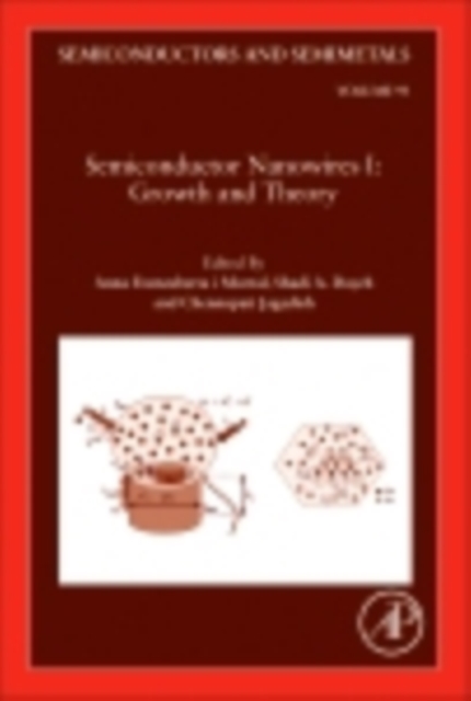 Semiconductor Nanowires I: Growth and Theory
