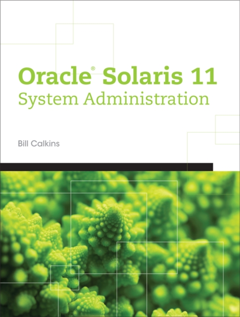 Oracle(R) Solaris 11 System Administration