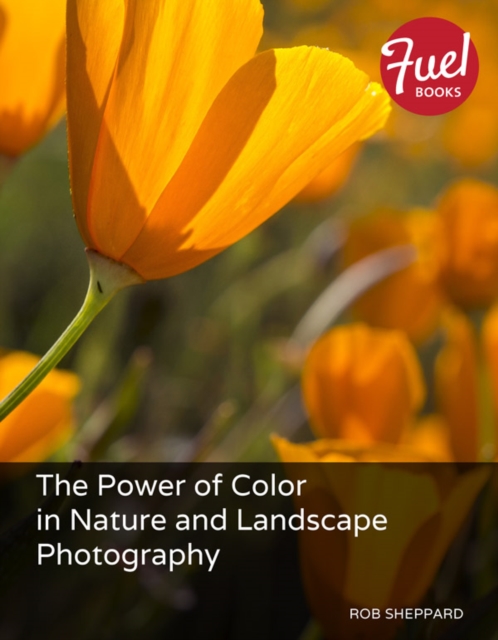 Power of Color in Nature and Landscape Photography, The