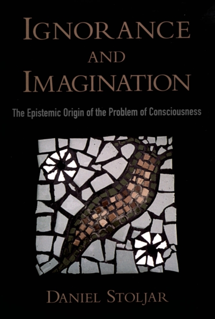 Ignorance and Imagination