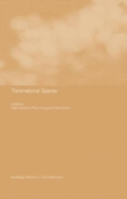 Transnational Spaces