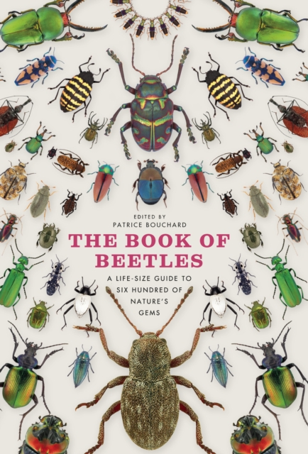 Book of Beetles
