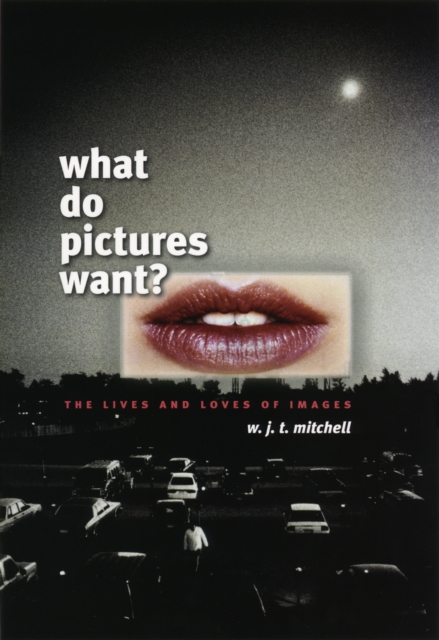 What Do Pictures Want?