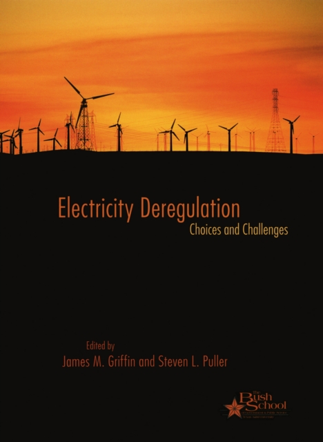 Electricity Deregulation