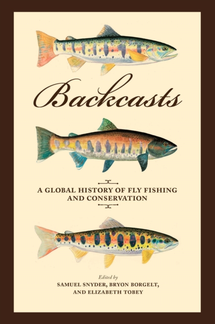 Backcasts