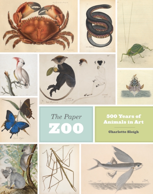 Paper Zoo