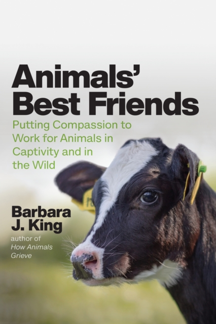 Animals' Best Friends