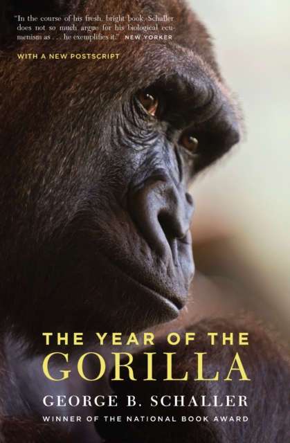 Year of the Gorilla