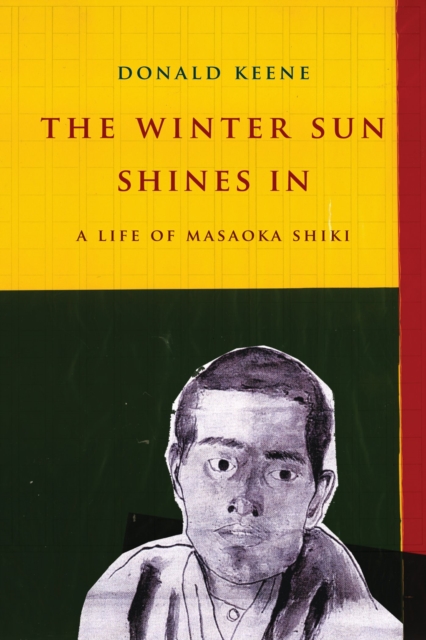 Winter Sun Shines In