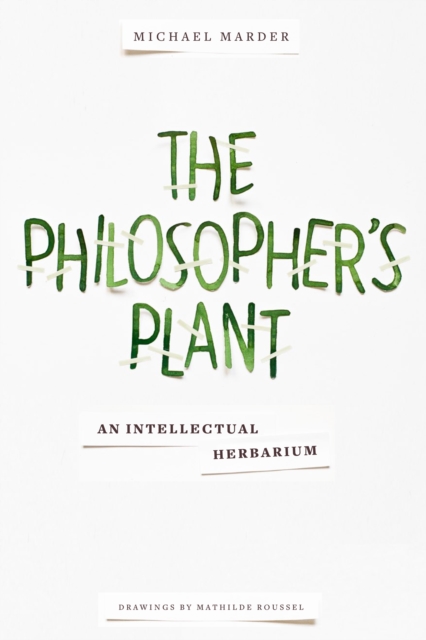 Philosopher's Plant