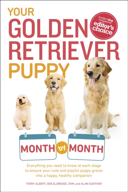 Your Golden Retriever Puppy Month by Month