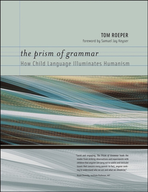 Prism of Grammar