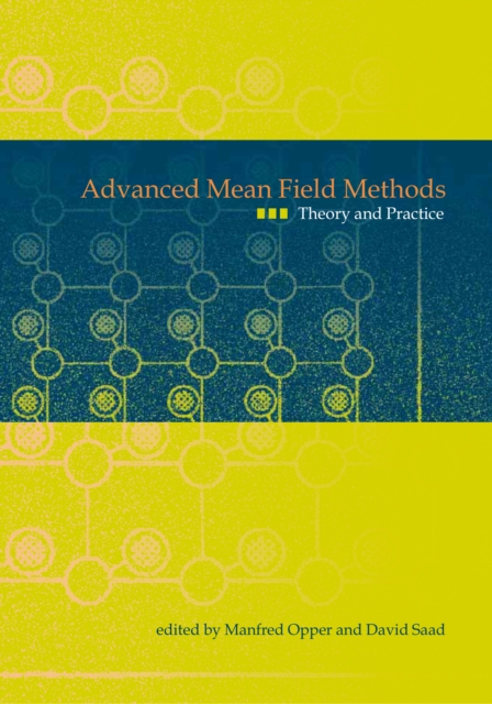 Advanced Mean Field Methods – Theory and Practice