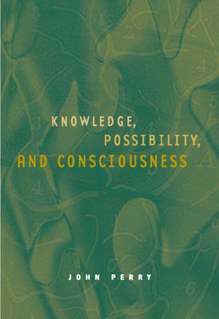 Knowledge, Possibility, and Consciousness